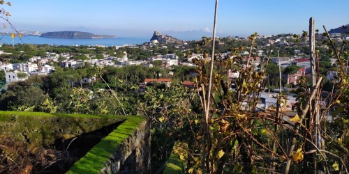 Cosa fare a gennaio a Ischia