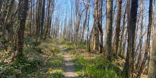 Andar per Cantine a Ischia