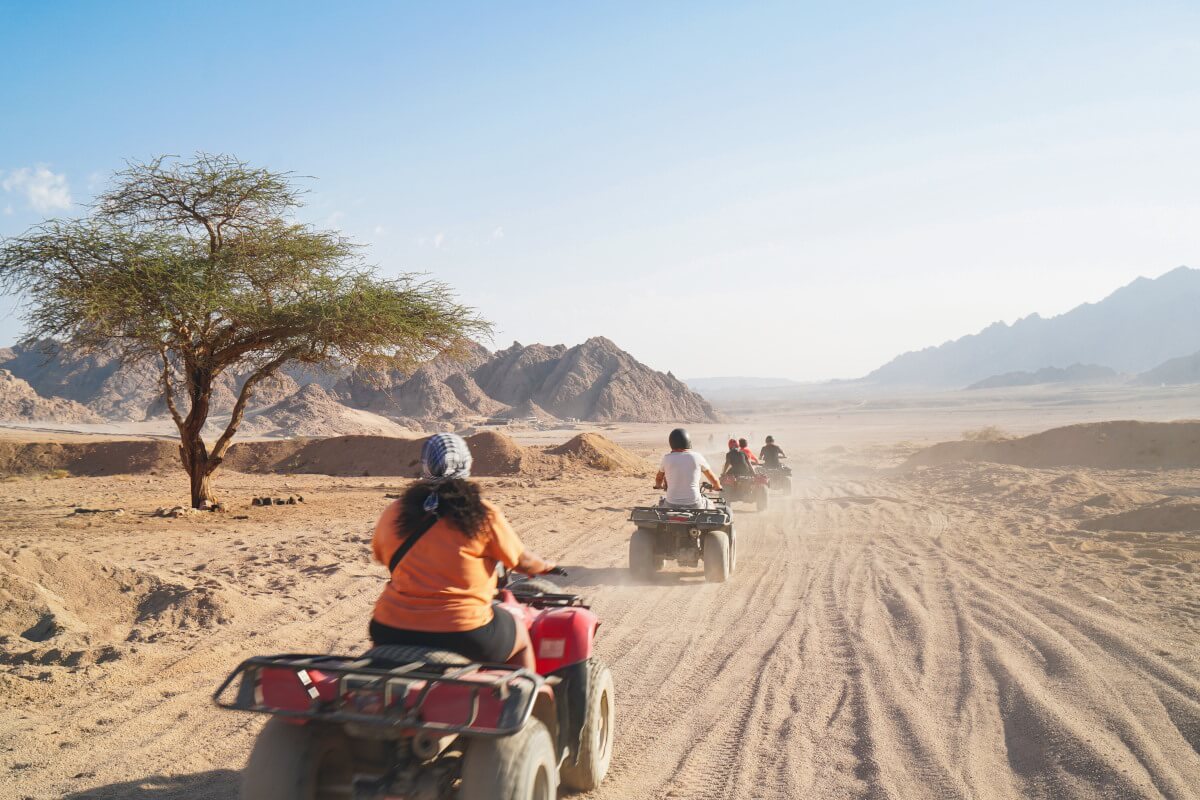 travellero tour safari sinai