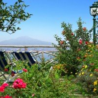 Hotel Ambasciatori Sorrento Garden