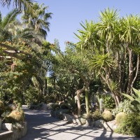 Park Hotel Terme Mediterraneo