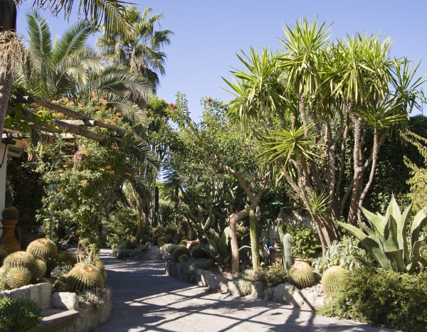 Park Hotel Terme Mediterraneo
