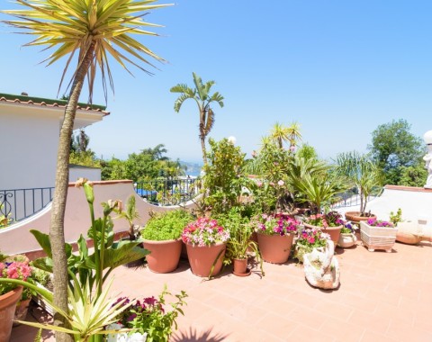 Hotel Villa Fiorentina - Foto 9