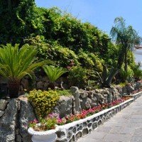Hotel Terme Galidon