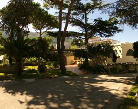 Park Hotel Terme Michelangelo - Foto 13