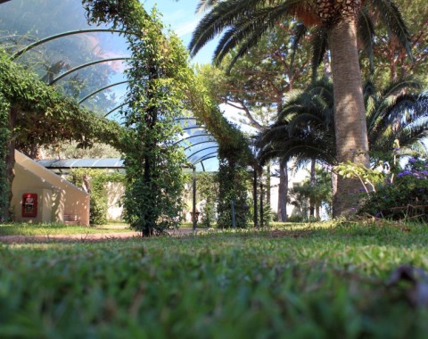 Park Hotel Terme Michelangelo - Foto 7