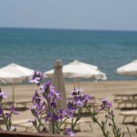 Alboréa Ecolodge Resort