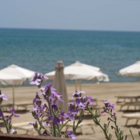 Alboréa Ecolodge Resort