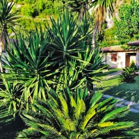 Hotel Club Village Arcomagno