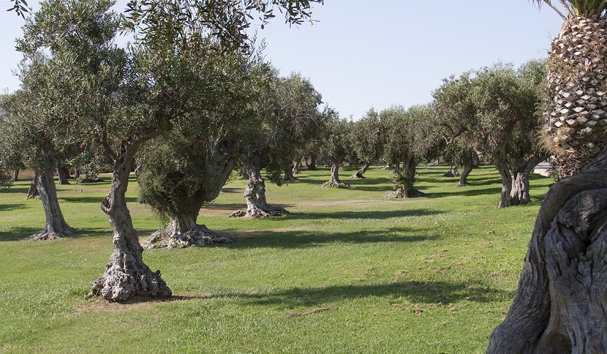 Mangia's Torre del Barone Resort