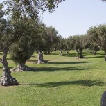 Mangia's Torre del Barone Resort