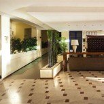 Araba Fenice Village