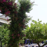 Hotel Royal Terme