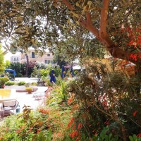 Hotel Royal Terme