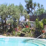 Hotel Terme Monte Tabor