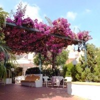 Hotel Royal Terme