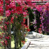 TH Costa Rei Free Beach Resort