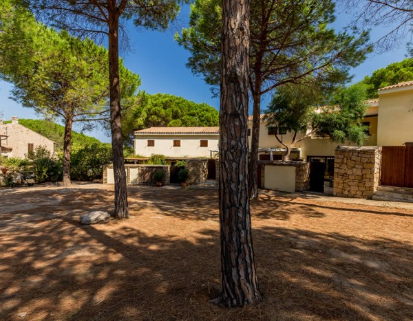 Residence Pineta Uno