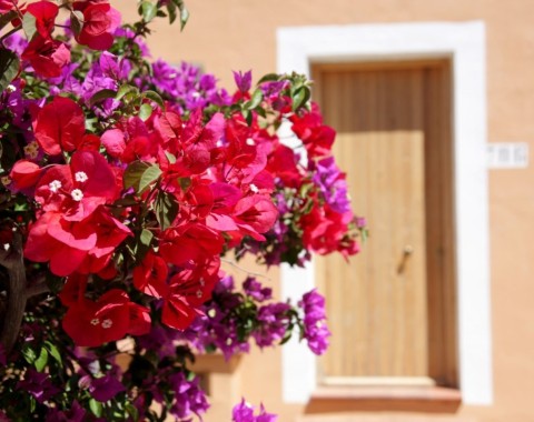 TH Costa Rei Free Beach Resort - Foto 6