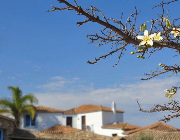 Hotel Corte Bianca
