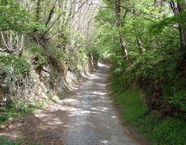 La Riserva Montebello