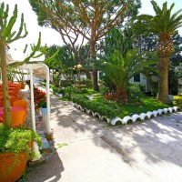 Hotel Park Calitto