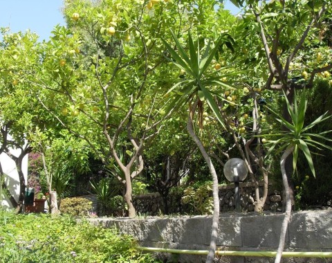 Hotel La Mandorla - Foto 14