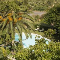 Albergo Diffuso Villa Asfodeli