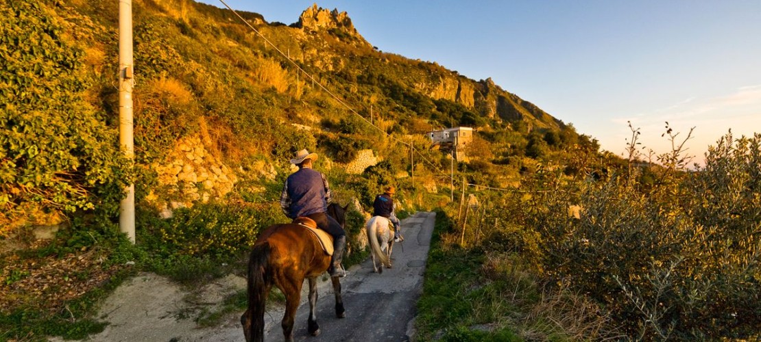Escursione a cavallo epomeo ischia