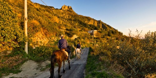 Escursione a cavallo all'Epomeo