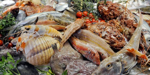 10 ristoranti ad Ischia per mangiare pesce