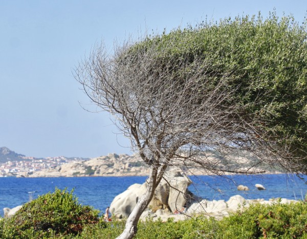 Club Esse Residence Capo d'Orso