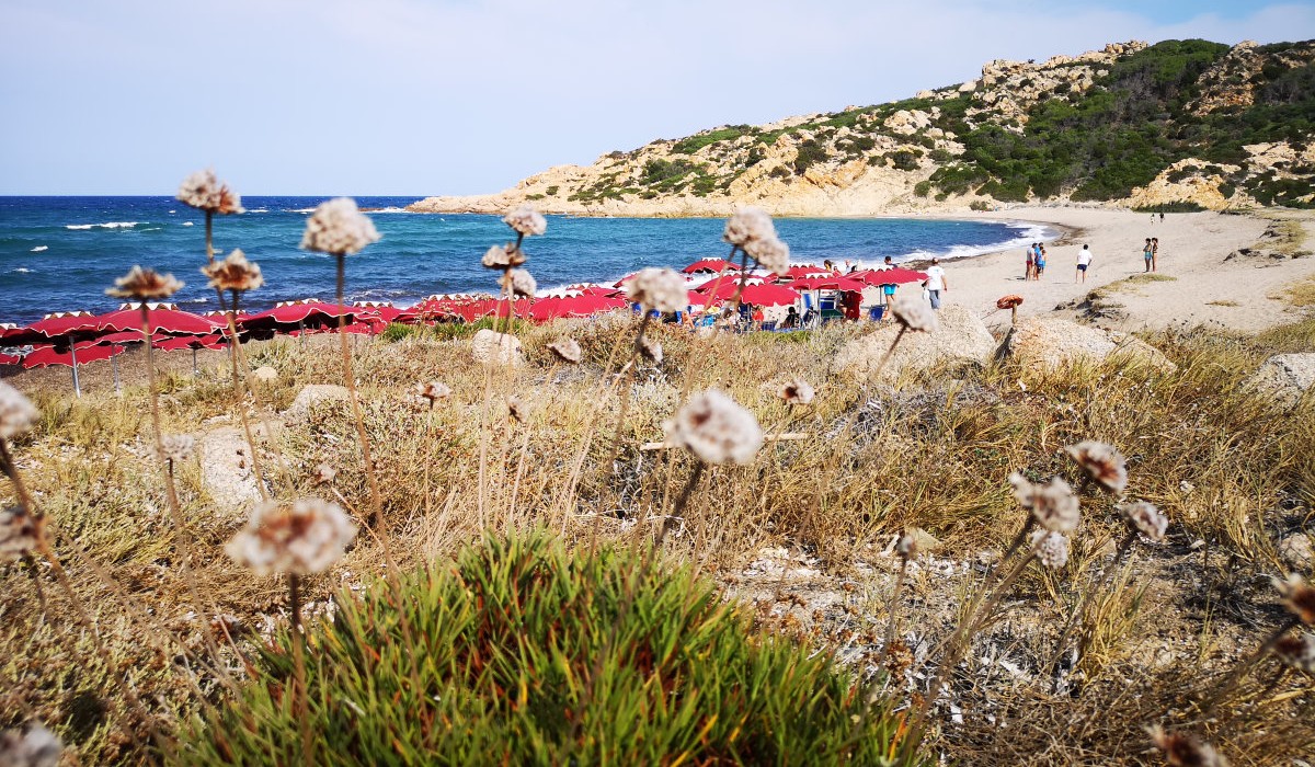 Club Esse Gallura Beach - Immagine 6