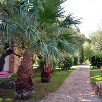 Club Esse Palmasera Village Resort