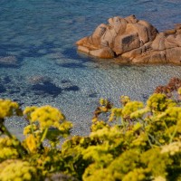 Shardana-Santa-Teresa-di-Gallura-mare-3