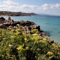 Shardana-Santa-Teresa-di-Gallura-vista-4