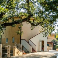 Villaggio Green Garden Club