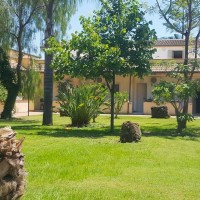 Villaggio Green Garden Club