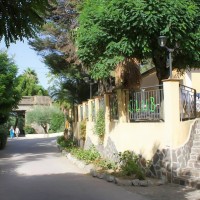 green garden club briatico recensioni