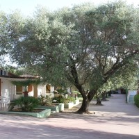 green garden club briatico recensioni