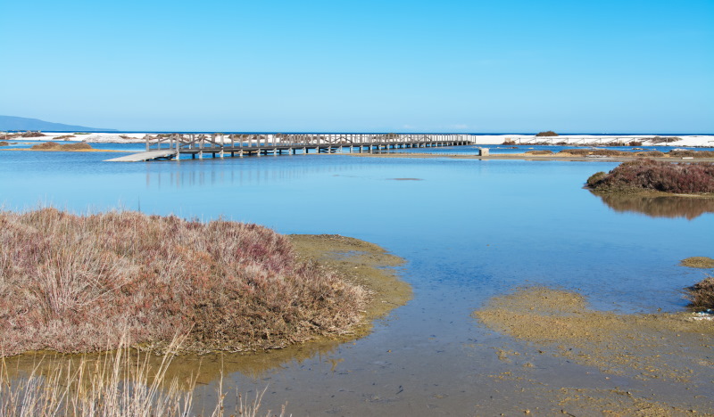 Stintino le saline