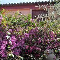 Sayonara Hotel Club Village