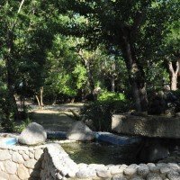 Sayonara Hotel Club Village