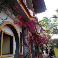 Sayonara Hotel Club Village