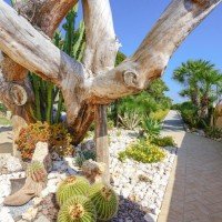 Fruit Village Baia delle Sirene