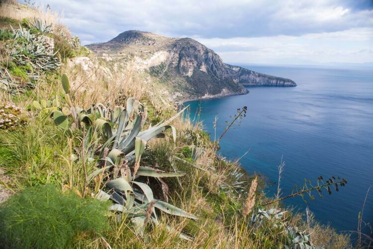 Costa sud est di Ischia