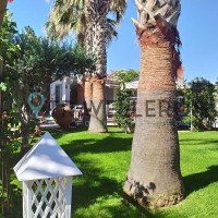 Park Hotel La Villa Resort giardino