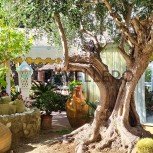 Park Hotel La Villa