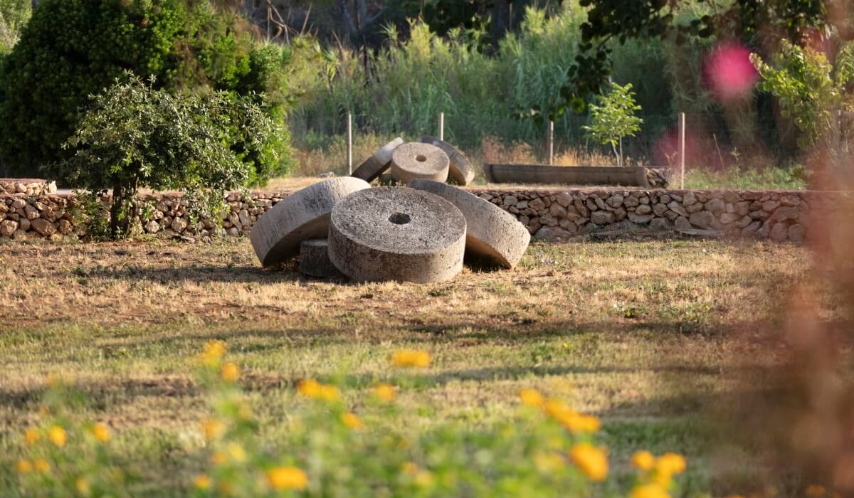 Masseria Mongiò dell'Elefante - Immagine 3