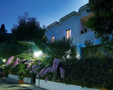 Hotel La Pineta - Foto 4